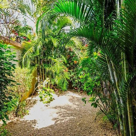 Villa Tropicale Balinaise Intimiste Grand Baie Extérieur photo