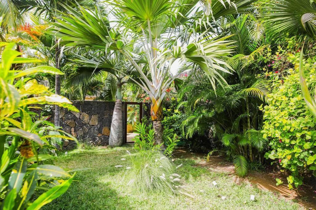 Villa Tropicale Balinaise Intimiste Grand Baie Extérieur photo